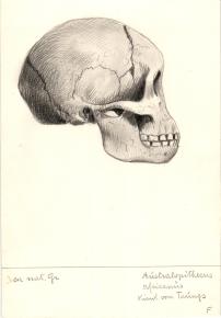 Paläöanthropologische Darstellung