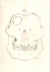 Paläöanthropologische Darstellung