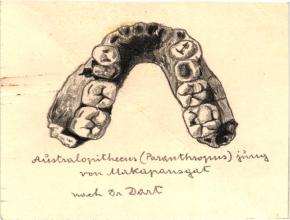 Paläöanthropologische Darstellung