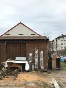 Skelette auf Holzstücken