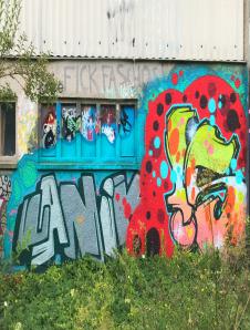 Knalliger Tag auf leerstehendem Haus