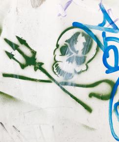 Sea Shepherd Logo auf Mauer