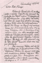 Brief von Helene Schweitzer an Paul Haupt