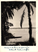 Eigenh. Widmung mit Unterschrift Albert Schweitzers, Lambarene, 1953