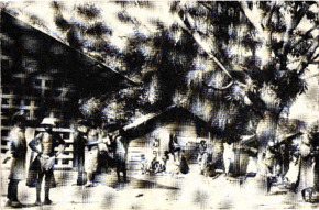 Eigenh. Postkarte von Hanna Obermann an Theo Gulden, Lambarene, 1956