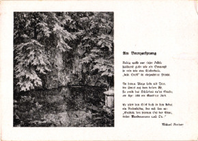 [uncatalogued]