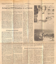 Zeitungsartikel