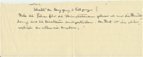 Fragment eines Brief v. Albert Schweitzer an Emmy Martin