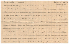Brief v. Albert Schweitzer an Emmy Martin