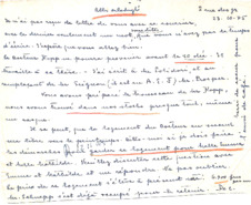 Brief von Emmy Martin an Albert Schweitzer