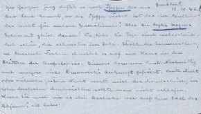 Brief von Emmy Martin an Albert Schweitzer