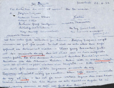 Brief von Emmy Martin an Albert Schweitzer
