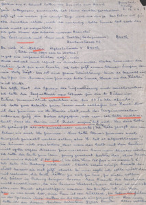 Brief von Emmy Martin an Albert Schweitzer