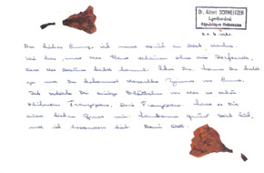 Brief von Ali Silver an Emmy Martin