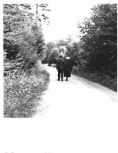 Beschriftetes Foto - Albert Schweitzer & Emmy Martin