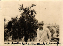Foto von Albert Schweitzer, signiert
