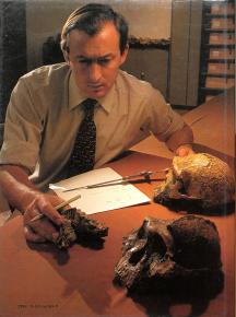 Human Origins