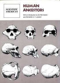 Human Ancestors