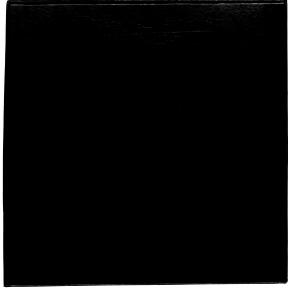 Albert Schweitzer Plays Bach