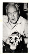 Dr. Louis Leakey präsentiert einen 1959 in Tanzania gefundenen 1,75 Millionen Jahre alten Schädel