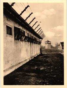 Foto-Postkarte Ehemaliges KZ Buchenwald bei Weimar
