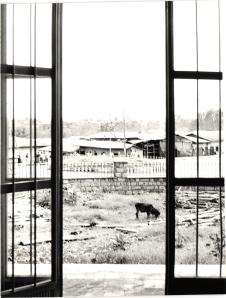 Äthiopien 1985