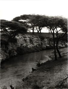 Äthiopien 1988