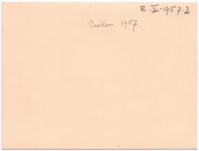 Albert Schweitzer mit der Königinmutter von Belgien Elisabeth und Musikern im Schloss Laeken. (1957)