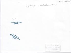 Im Garten der Médais-Höhlen in Asté. Henri Ueberschlag, Joseph Meinier, Albert Schweizer, Herr Brunelet