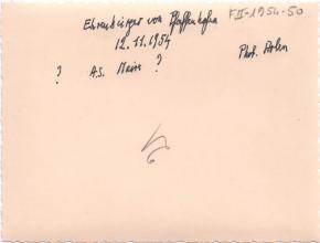 Ernennung Albert Schweitzers zum Ehrenbürger von Pfaffenhofen mit Ernest Biedermann und Frederic Gerst