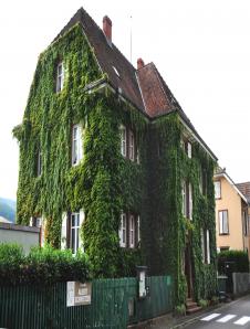 Albert Schweitzers Wohnhaus in Gunsbach